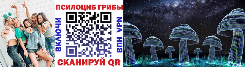 Галлюциногенные грибы Cubensis  Бабаево 